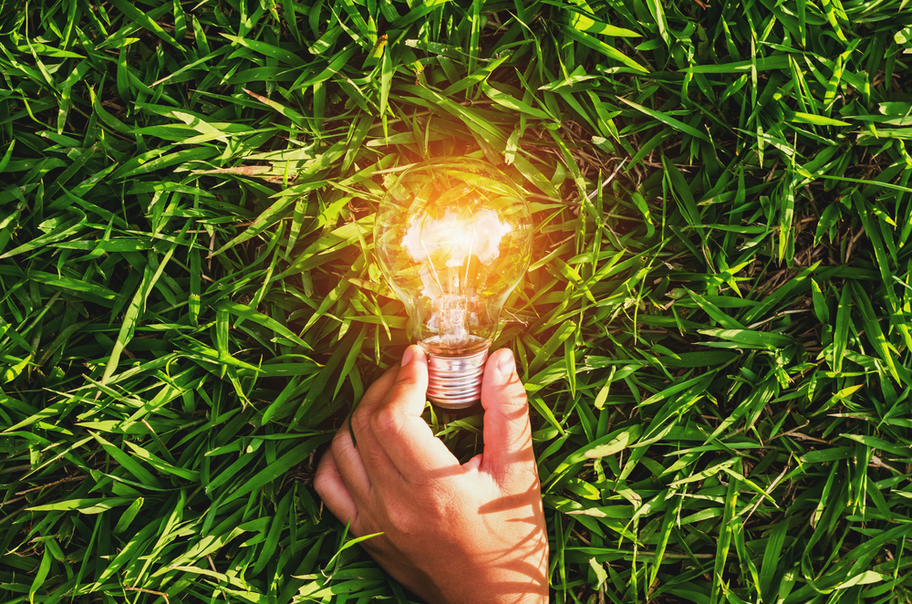 Put electricians at the heart of the clean energy transition, says ECA