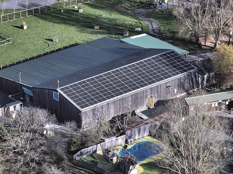 AJ Taylor Electrical Contractors